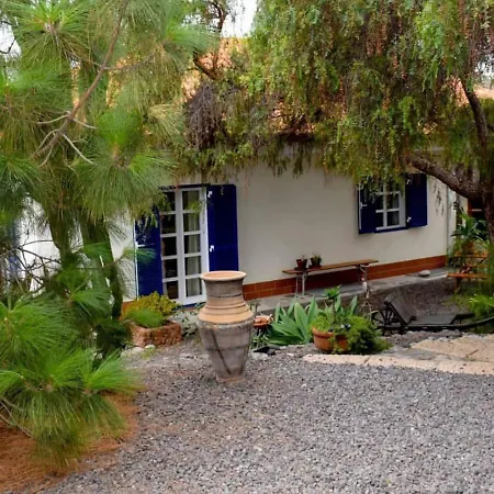 Apartment Stilvolle In Teneriffa Süd *