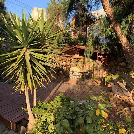 Stilvolle In Teneriffa Süd * Arona (Tenerife)